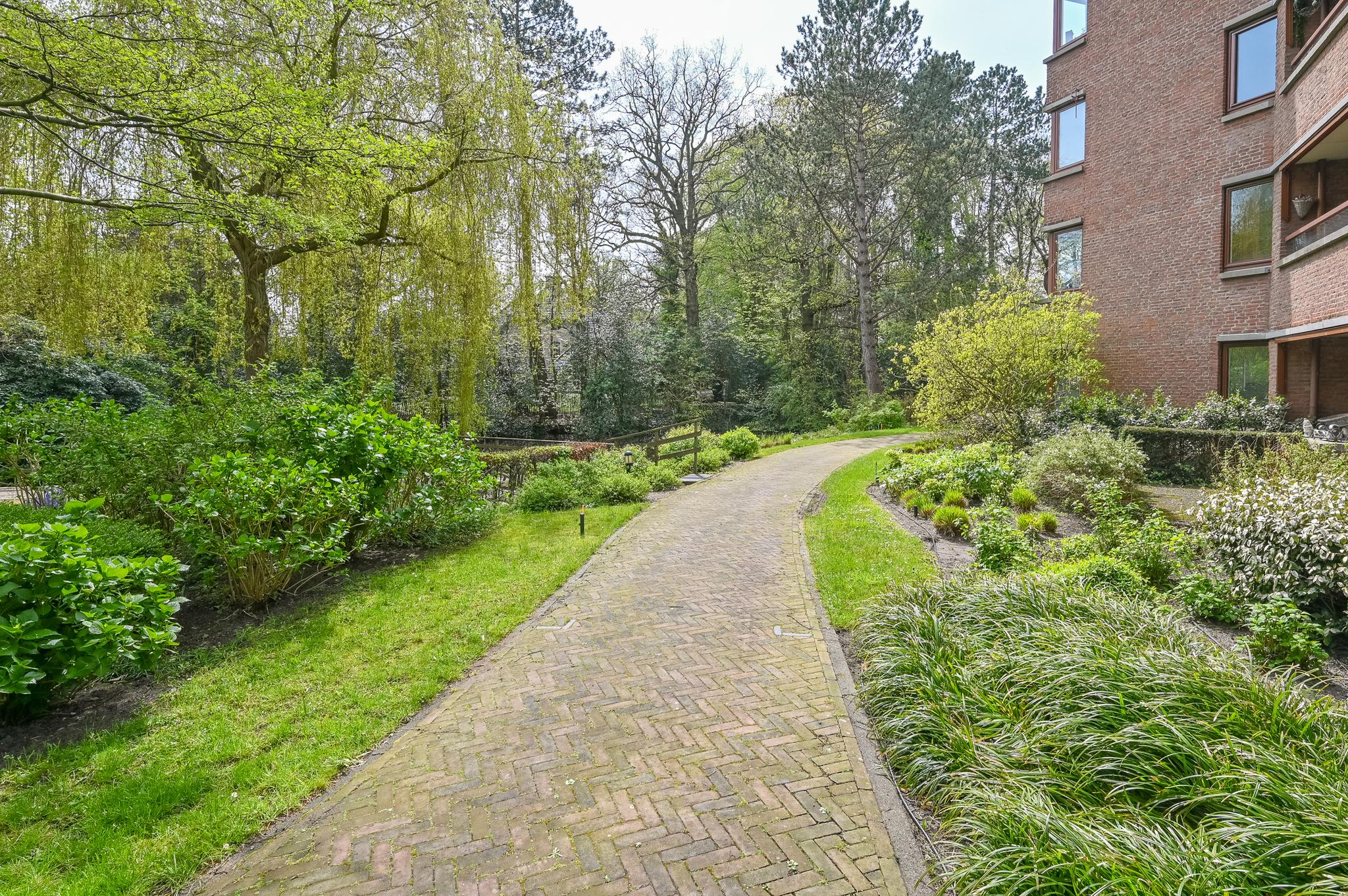 141308338.jpg
