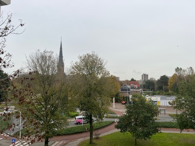 161487531.jpg