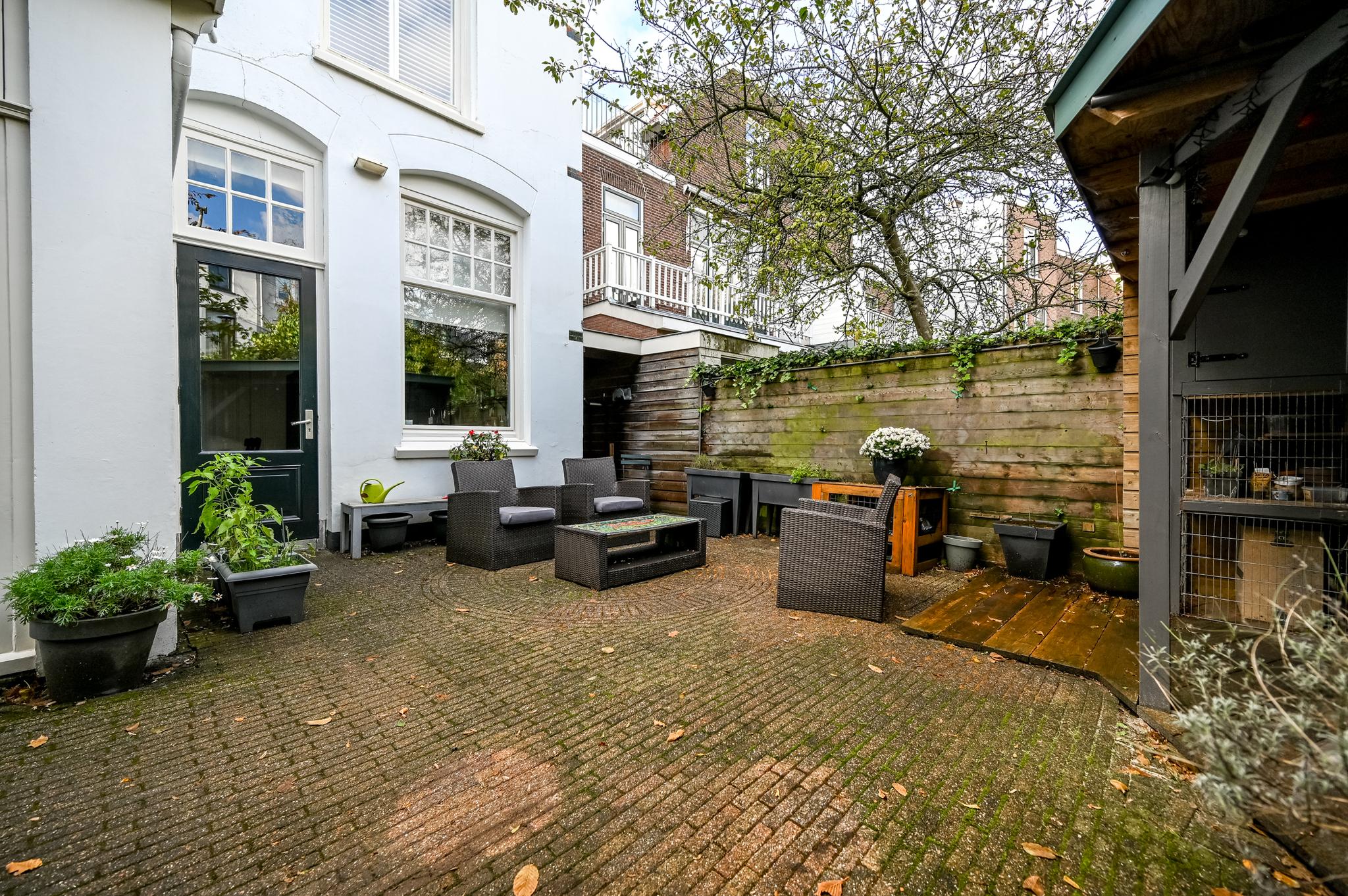 164104175.jpg