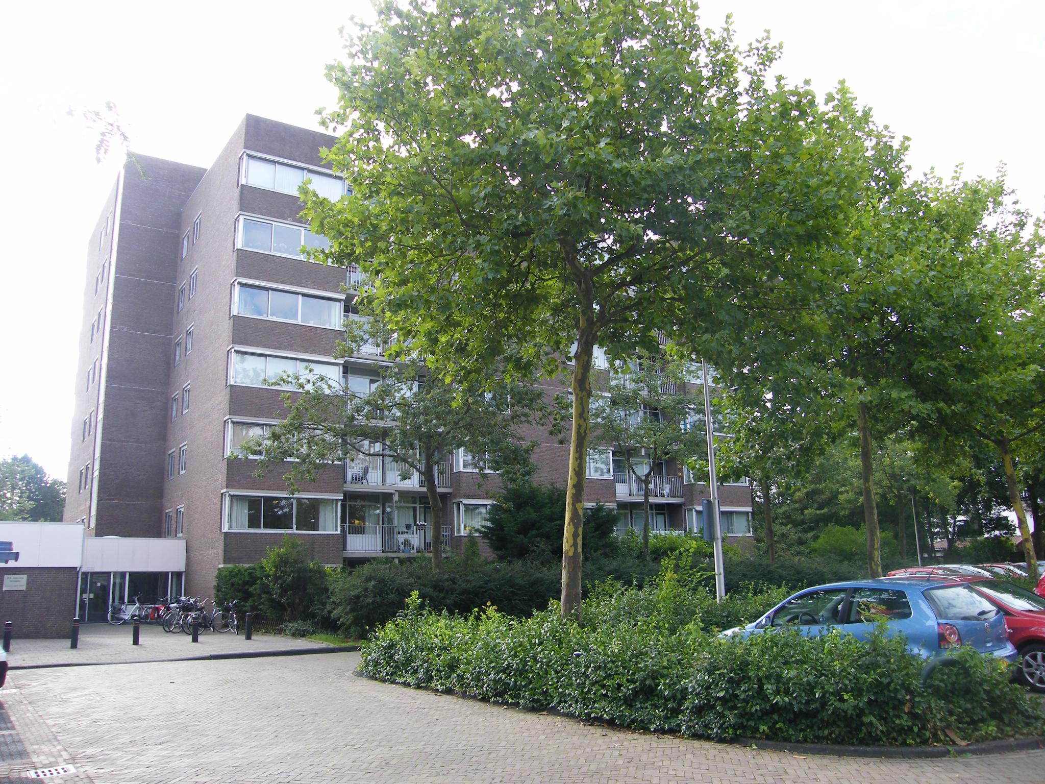169056195.jpg