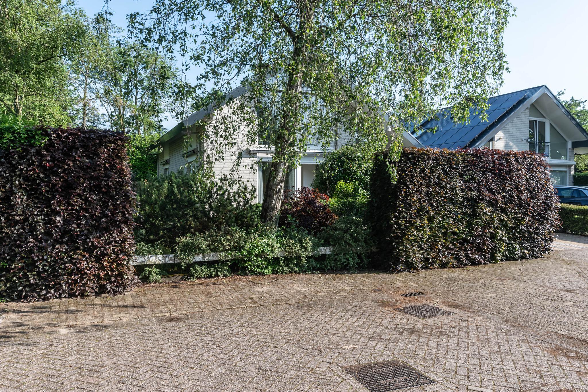 183530241.jpg