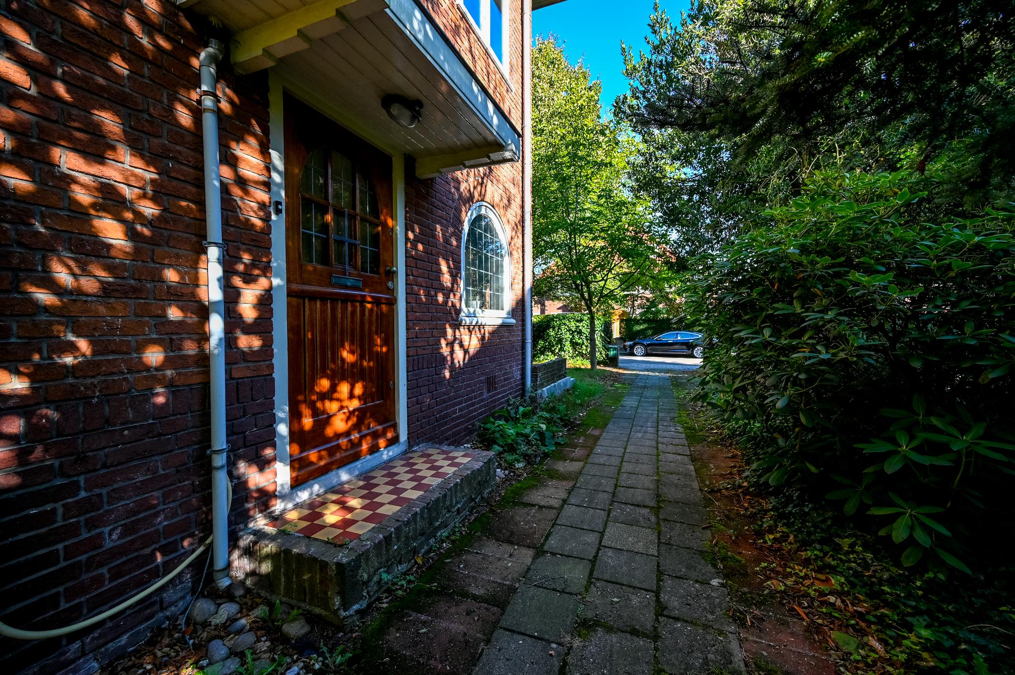 226459290.jpg